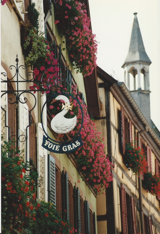 vacances-alsace-1994-18