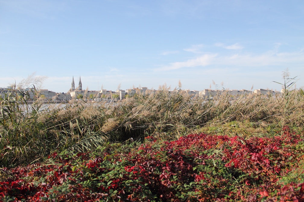 Quais de Bordeaux depuis la rive droite