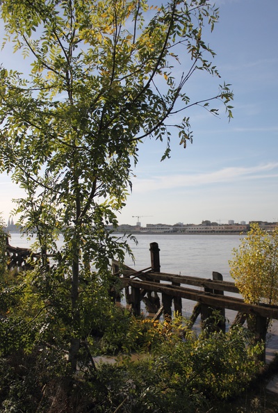 Quais de Bordeaux depuis la rive droite