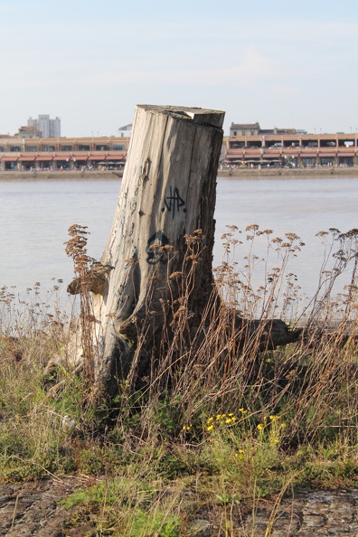 Bordeaux-rive-droite-061.JPG