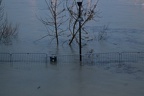 Inondations à Bordeaux (Février 2014)