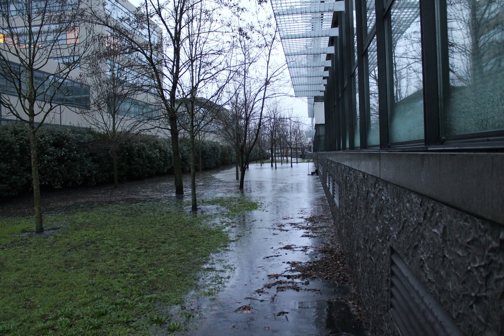 Inondations à Bordeaux (Février 2014)