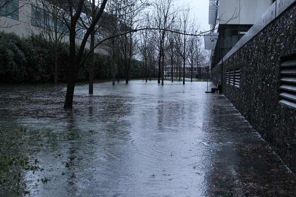 Inondations à Bordeaux (Février 2014)