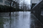 Inondations à Bordeaux (Février 2014)