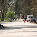 Allée du Jardin Public de Bordeaux