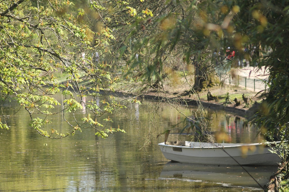 Etang du Jardin Public (Bordeaux)