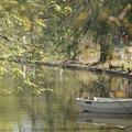 Etang du Jardin Public (Bordeaux)