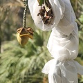 Bananier (jardin botanique du Jardin Public, Bordeaux)