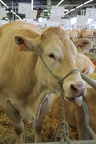 Salon de l'agriculture de Bordeaux-Lac en 2013