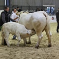 salon-agriculture-2013-0007