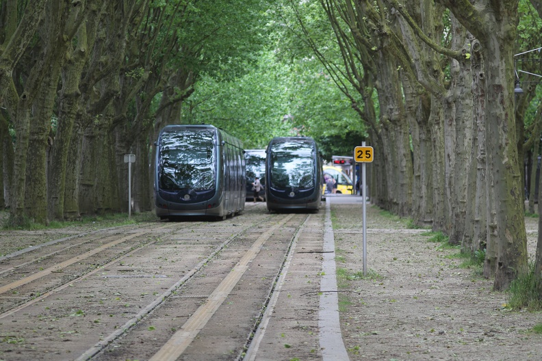 tramway-premier-mai-10.JPG