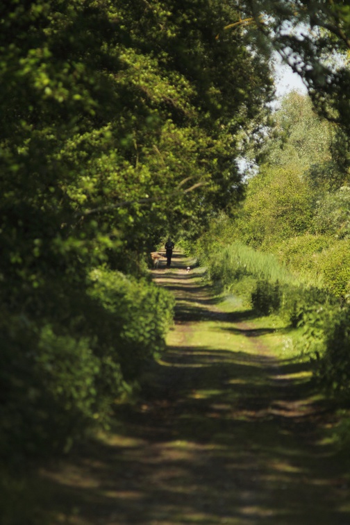 Chemin près du chateau Ségur (Parempuyre)