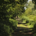 Chemin près du chateau Ségur (Parempuyre)