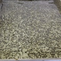 pisciculture-truite-0012