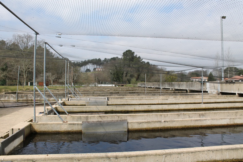 pisciculture-truite-0016.JPG