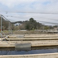 pisciculture-truite-0016