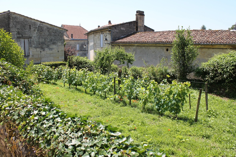 saint-emilion-2013-0010.JPG