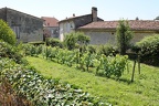 saint-emilion-2013-0010