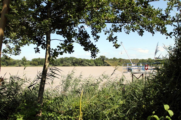 Cabane de pêche au carrelet (Garonne, Rives d'Arcins)