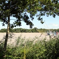 Cabane de pêche au carrelet (Garonne, Rives d'Arcins)