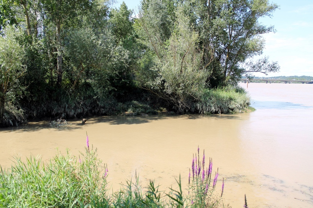 Embouchure de l'estey Tartifume