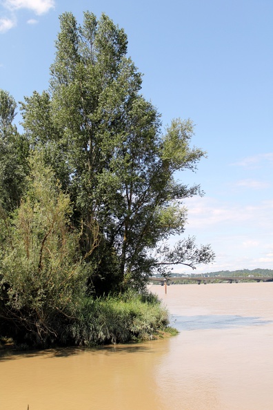 Embouchure de l'estey Tartifume - rives-arcins-2014-0031.jpg rives-arcins-2014-0031.jpg