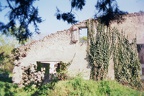 Ruine à Bassens