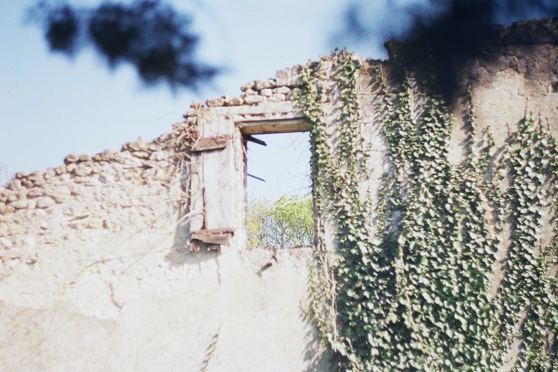 Détail d'une ruine à Bassens