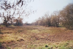 Zone humide près de la Lisière du vignoble