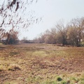 Zone humide près de la Lisière du vignoble