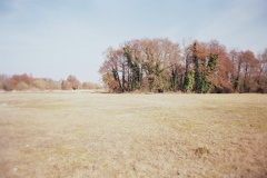 Terrain vague, Lisière du vignoble