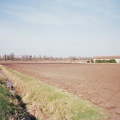 Champ près du château Ségur