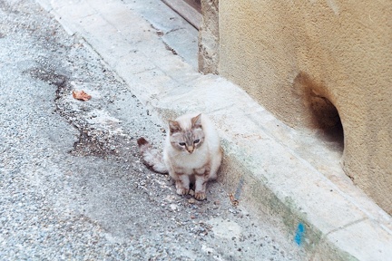 Chat anonyme