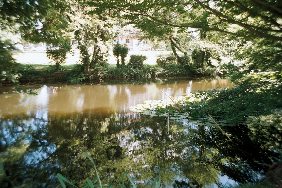 Etang de la fac de Talence