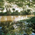 Etang de la fac de Talence