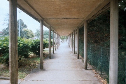 Allée couverte à la fac de Talence