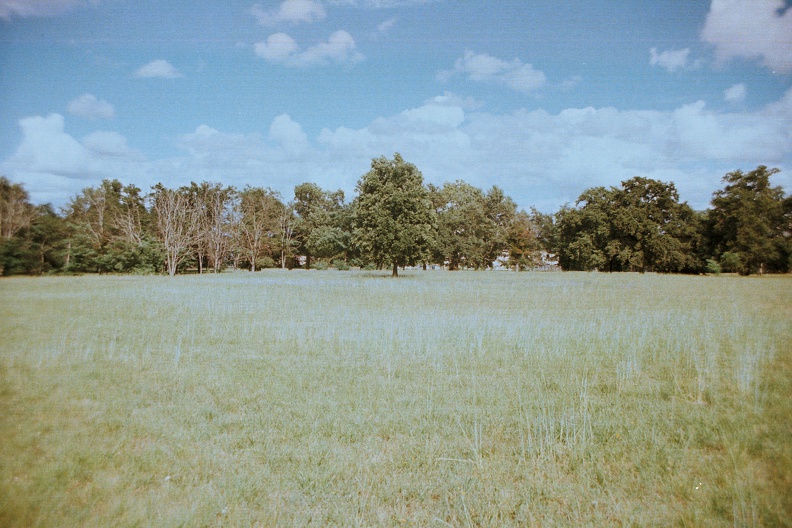 Arrêt Doyen Brus, Talence