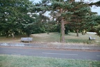 Tirage de Juillet 2012
