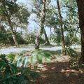 Bosquet de Bordeaux Sciences Agro