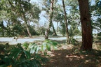 Bosquet de Bordeaux Sciences Agro