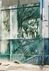 Street art Tigre