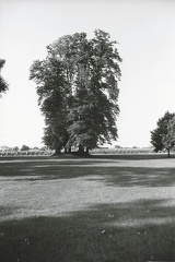 Chateau d'Agassac, Ludon-Médoc, N&B