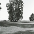 Chateau d'Agassac, Ludon-Médoc, N&B