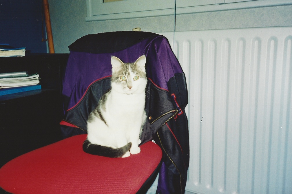 Chipie 1996