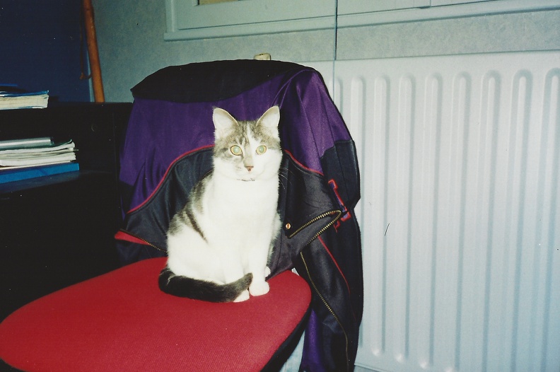 chipie-1996-02.JPG