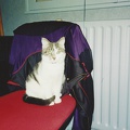 chipie-1996-02.JPG