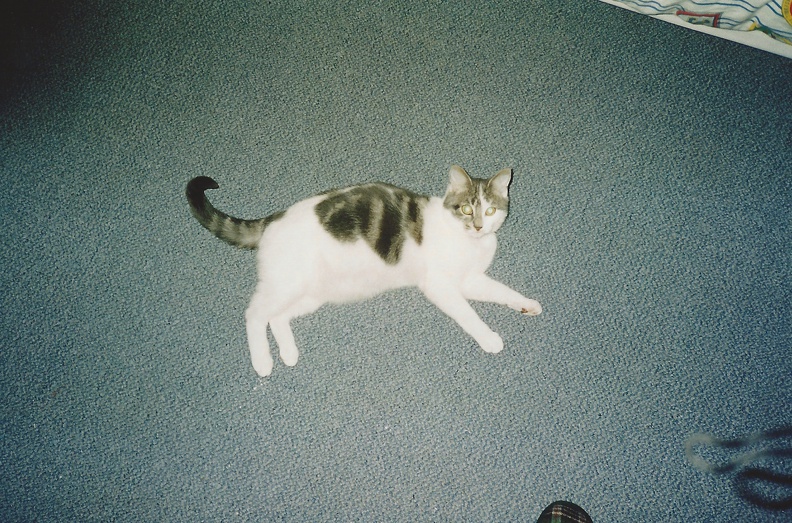 chipie-1996-03.JPG