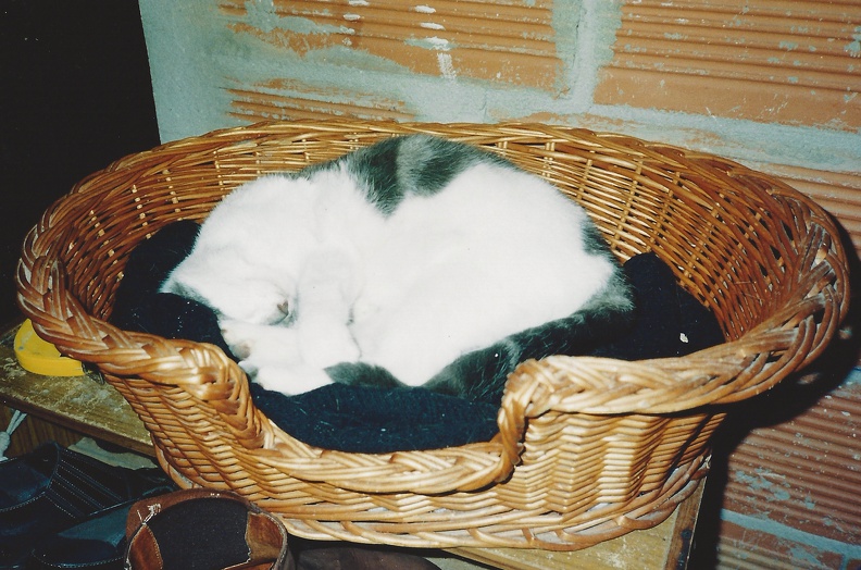 chipie-1996-04.JPG