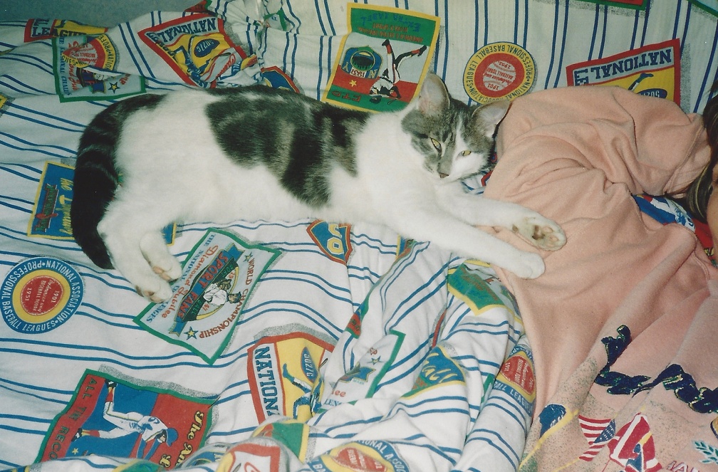 Chipie 1996