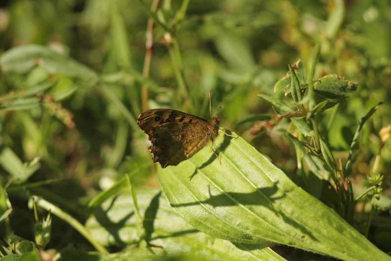 Week-end-parempuyre-mai-2014-10.JPG